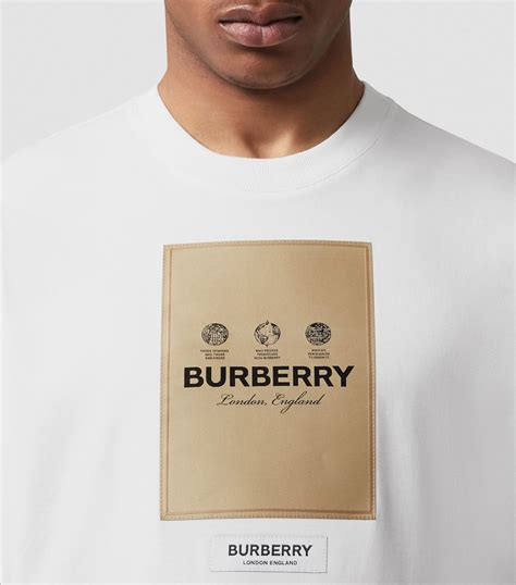 burberry t shirt price in india|burberry t shirt price 41000.